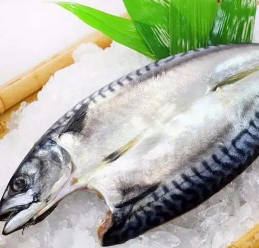 2022年中國進(jìn)口挪威鯖魚57629噸同比增長16%(挪威對華出口增長超40%)