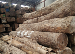 【進口案例】黑酸枝進口報關手續及流程解讀